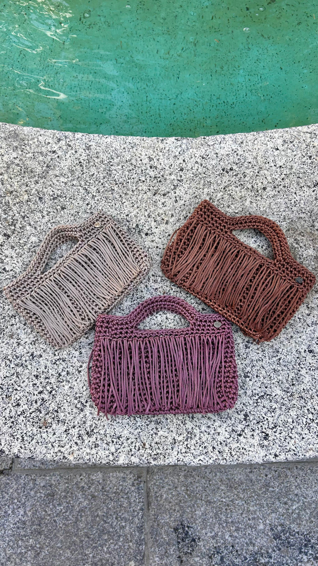 LÚA VIOLETA 4